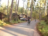 Tn IMG 1443